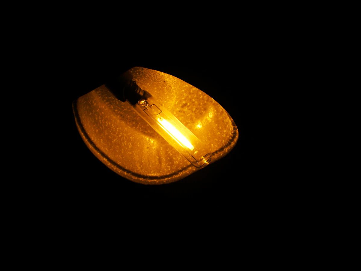 mouse click test